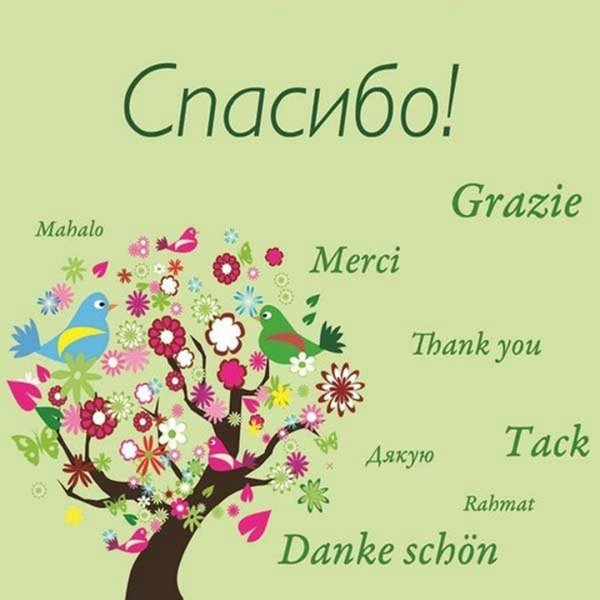 11 Января день спасибо