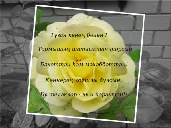 Поздравления с днём рождения на татрском