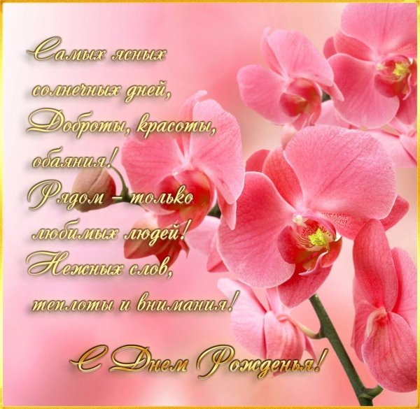 Красивые цветы и бабочки