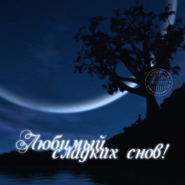 Сладких снов любимый