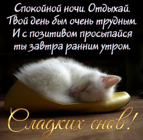 Пожелания доброй ночи