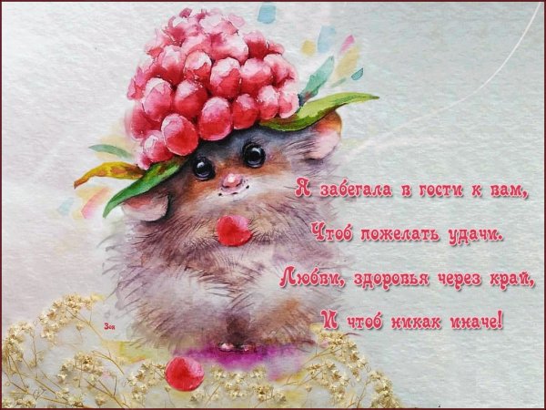 Пожелания хорошего дня и здоровья