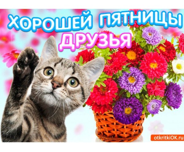 Открытки с пятницей