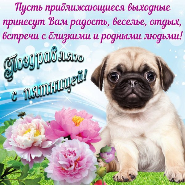 Открытки на пятницу с пожеланиями