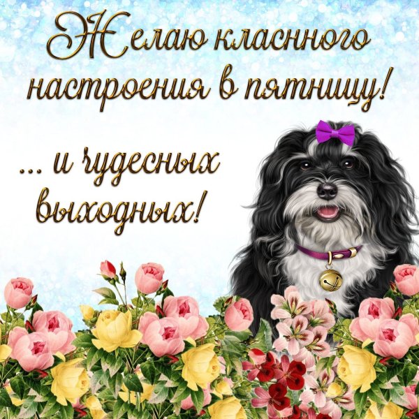 С пятницей хороших выходных