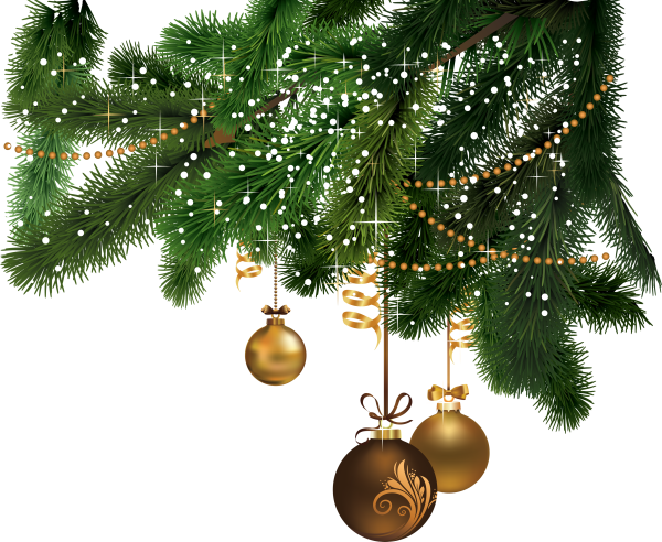 Новогодние еловые ветки