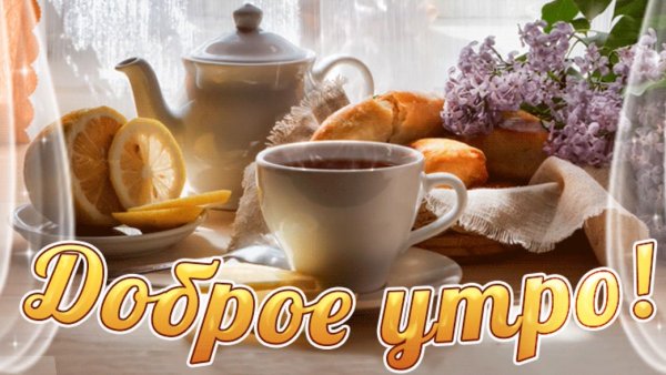 Доброго ноябрьского утра и отличного дня