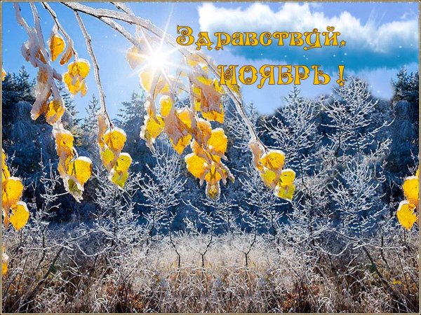 Открытки с ноябрем