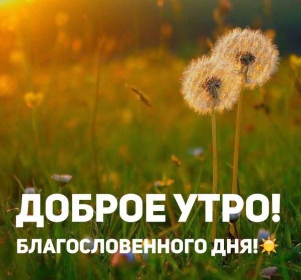 С добрым утром православные