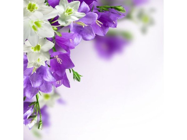 Доброе утро Божьих благословений