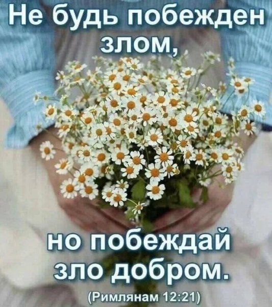 Доброго благословенного утра и хорошего дня