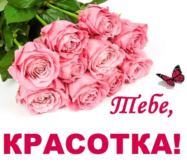 Тебе красотка