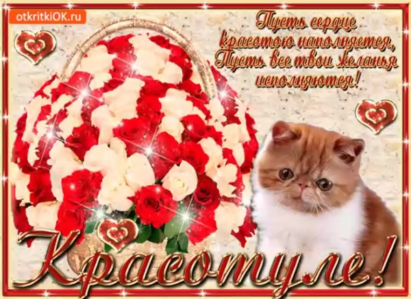 Ты красотка