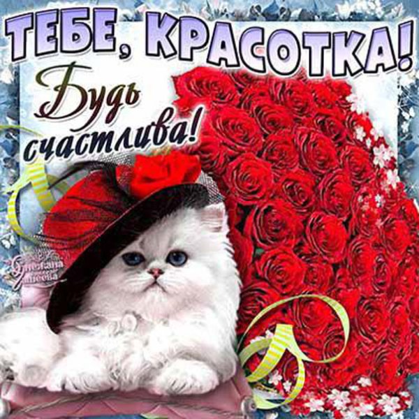 Красавица открытки