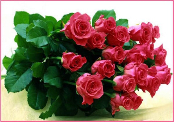 Счастья тебе красавица