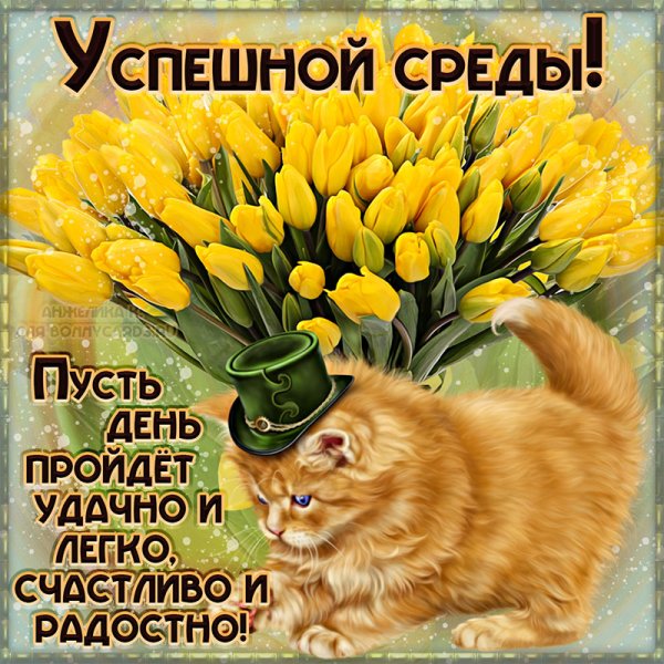 Поздравление со средой