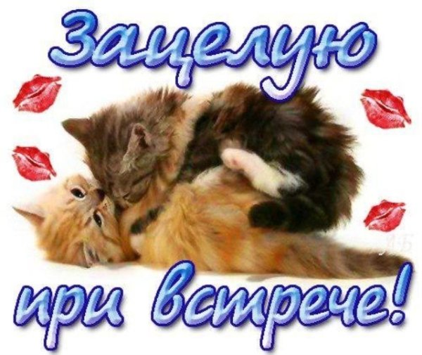 Открытки люблю скучаю