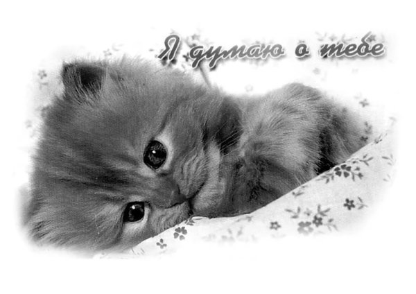 Скучаю по тебе котенок