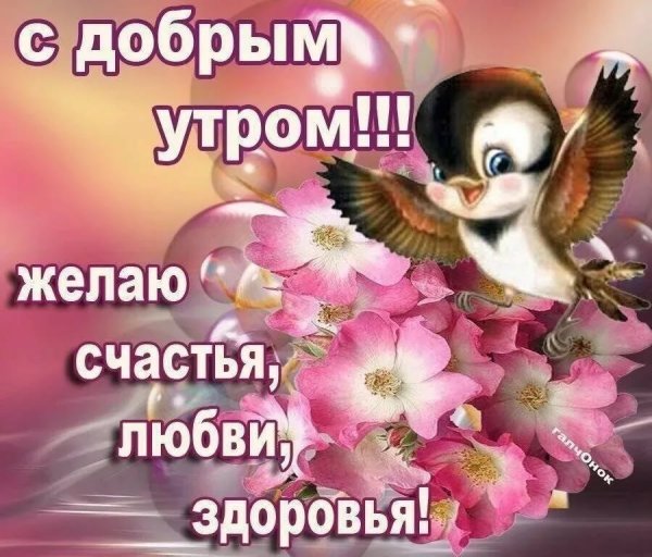 Открытки с добрым утром воскресенья