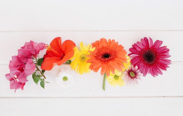 Открытка горизонтальная