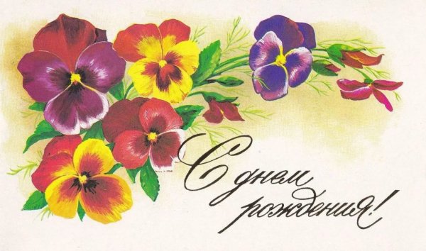 Открытка альбомная