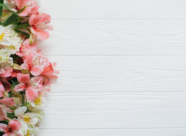 Красные тюльпаны