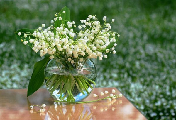 Ландыши Ландыши тюльпаны Ландыши