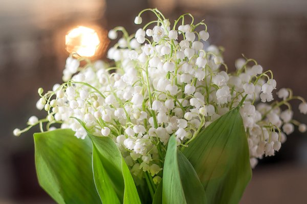 Букет ландышей