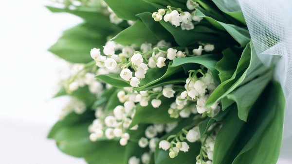 Букет ландышей с днем рождения