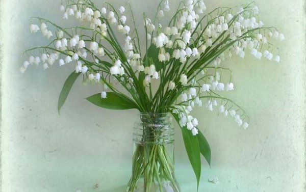 Открытки с ландышами