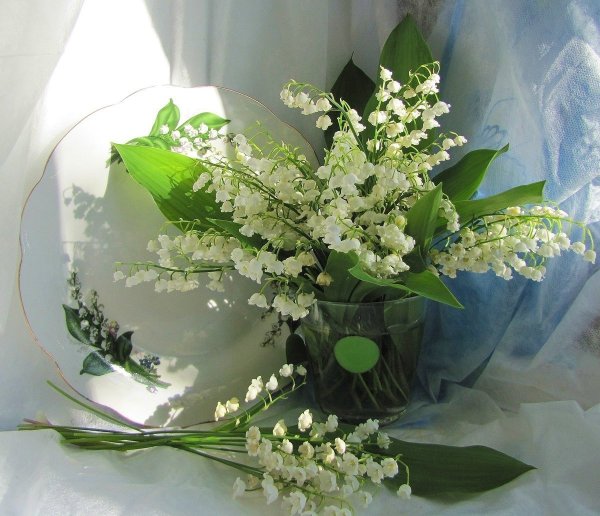 Красивые Ландыши