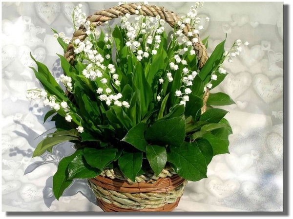 С днем рождения Весна