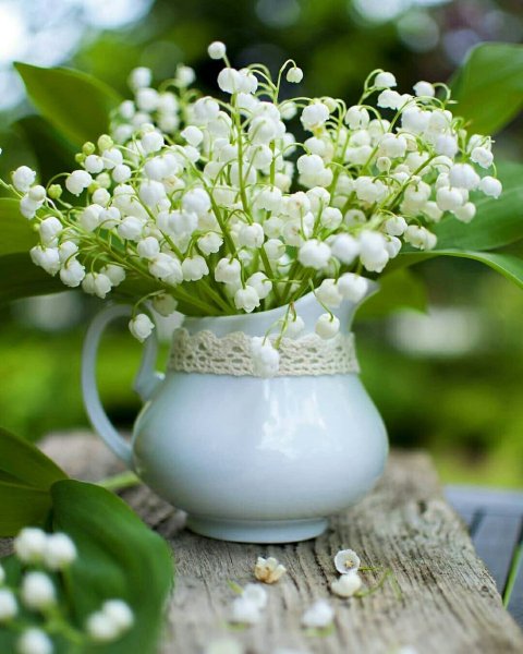 Поздравляем с днем рождения Ландыши