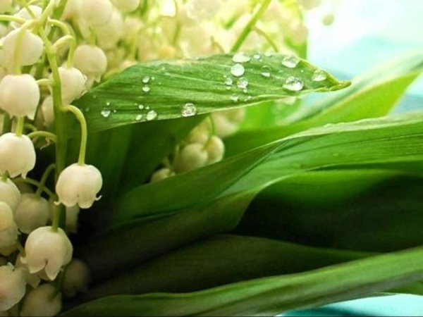 Винтажные Ландыши