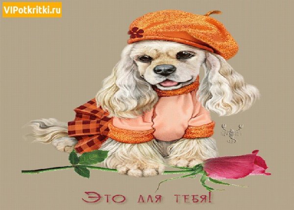 Открытка "просто так"