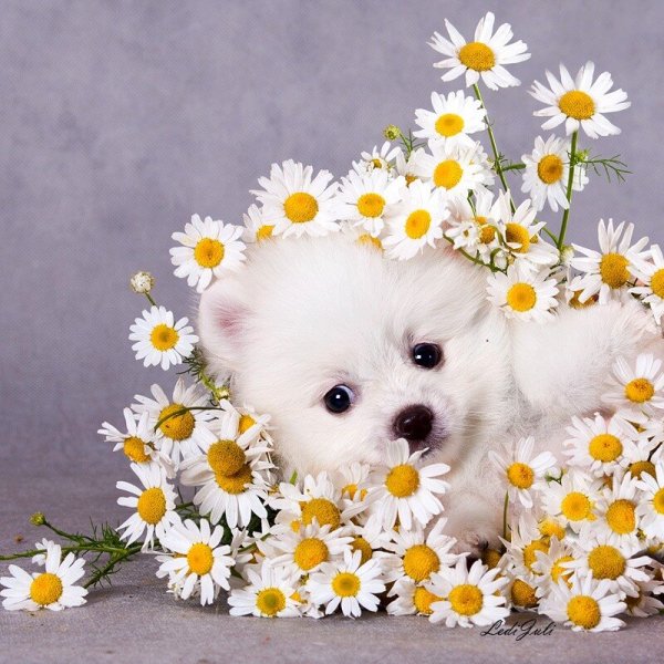 Открытка "просто так"