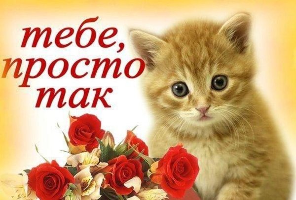 Это тебе просто так