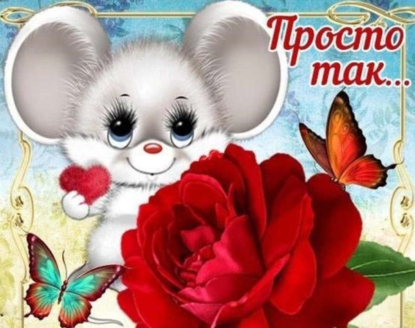 Поздравления без повода