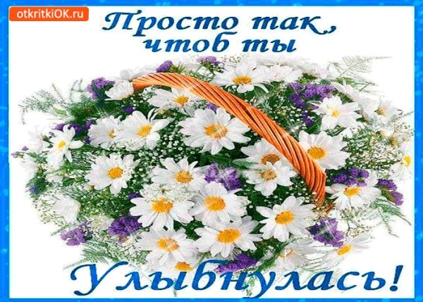 Смешные Винтажные открытки