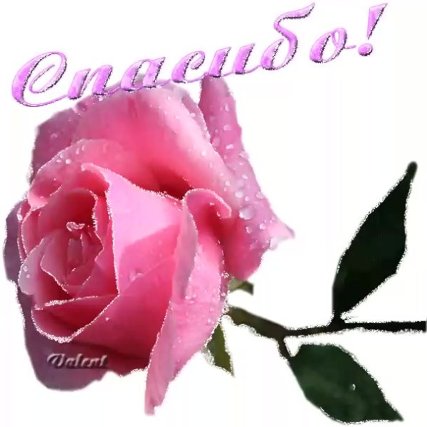 Надпись рэхмэт