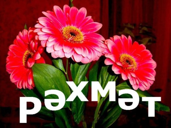 Открытки спасибо на татарском