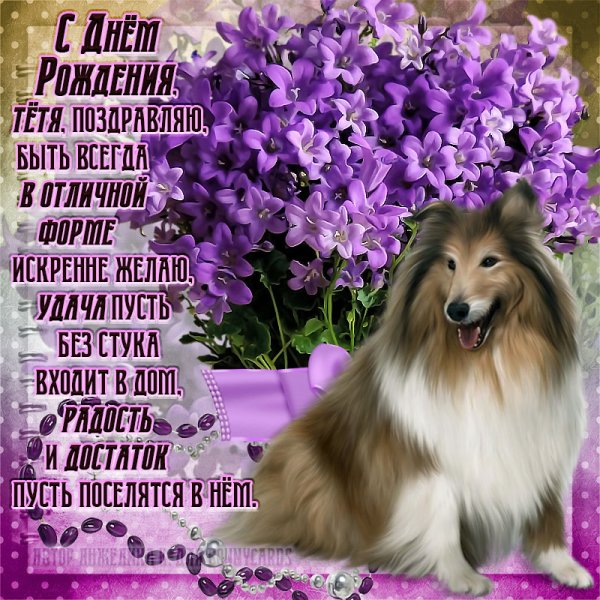 Открытка с колли