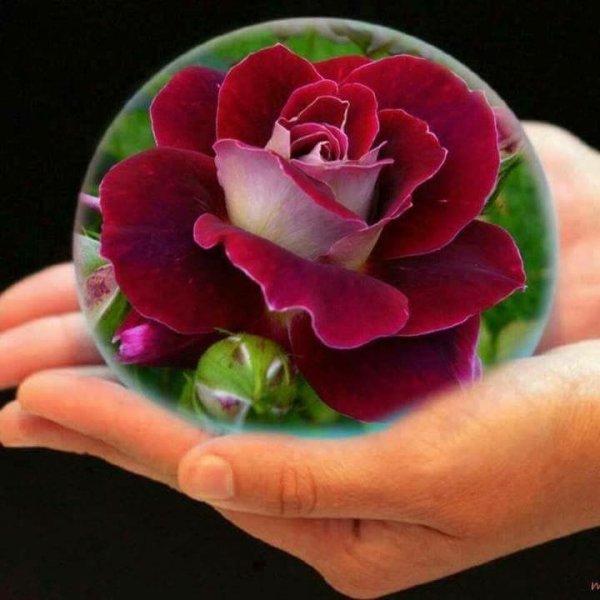 Спасибо на татарском языке