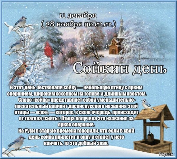 Сойкин день 11 декабря народный календарь
