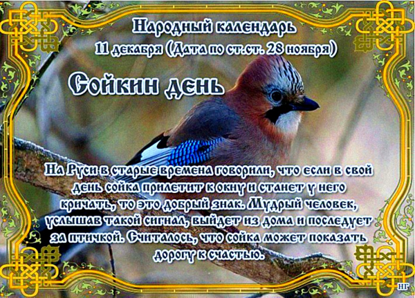 Международный день гор 11 декабря