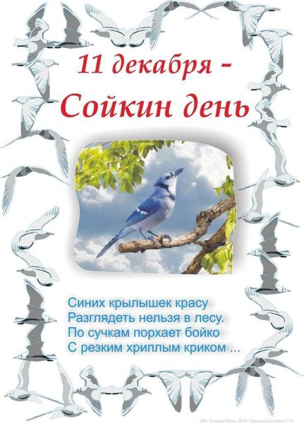 Международный день гор