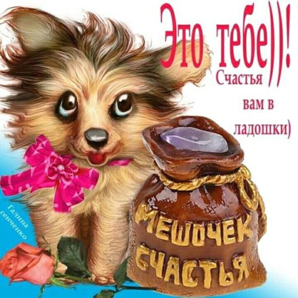 Прикольные пожелания на день просто так