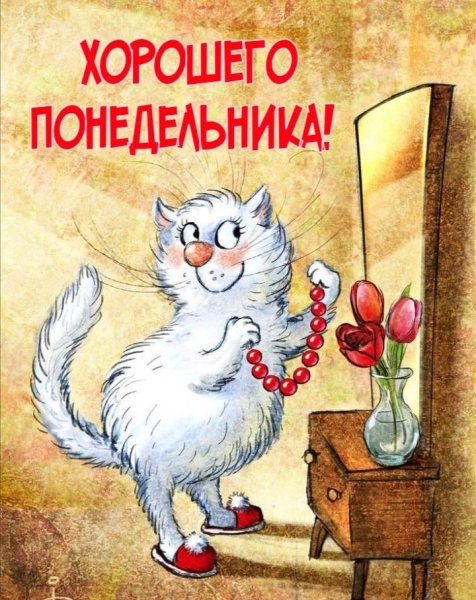 Коты Ирины Зенюк