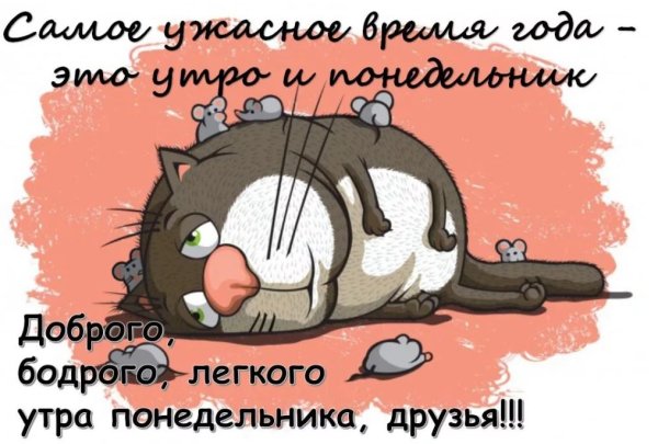 Открытки с понедельником прикольные