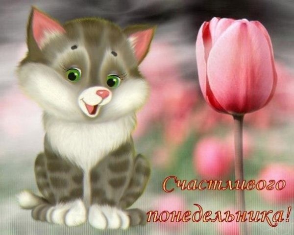 Открытки с понедельником прикольные